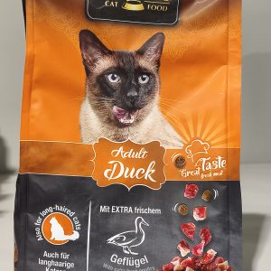 Adult Duck