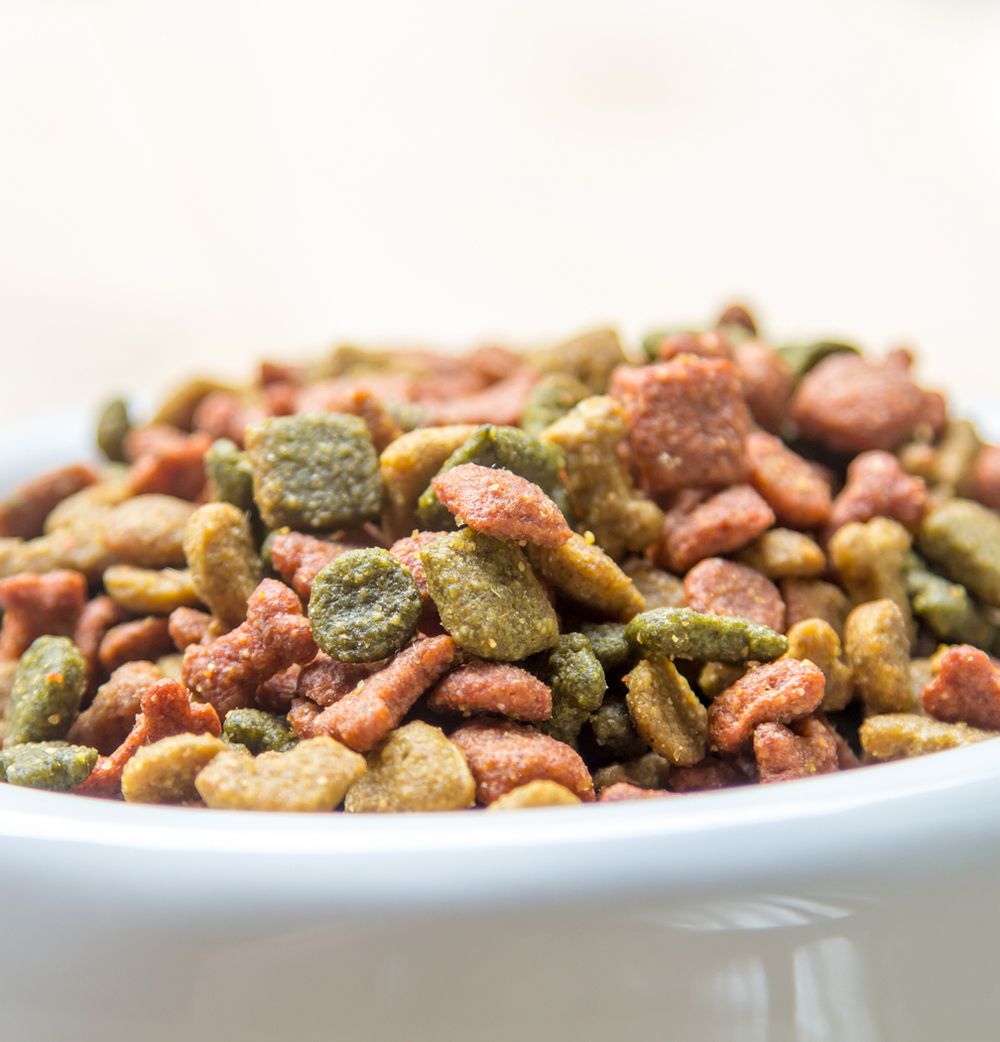 Trockenfutter in der Nahaufnahme in einem Napf